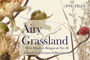 Airy Grassland — Wild Meadow Botanic