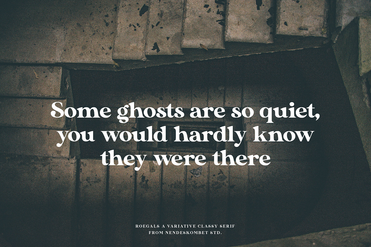 Roegals - A Variative Classy Serif, a Serif Font by NendesKombet Studio (Photo 13 of 15)