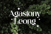 Aglycones Elegant Serif Display Font, a Serif Font by UICreative (Thumbnail 6 of 13)