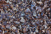 Background textiles autumn leaves, a Background Photo by MartinShop (Thumbnail 3 of 3)
