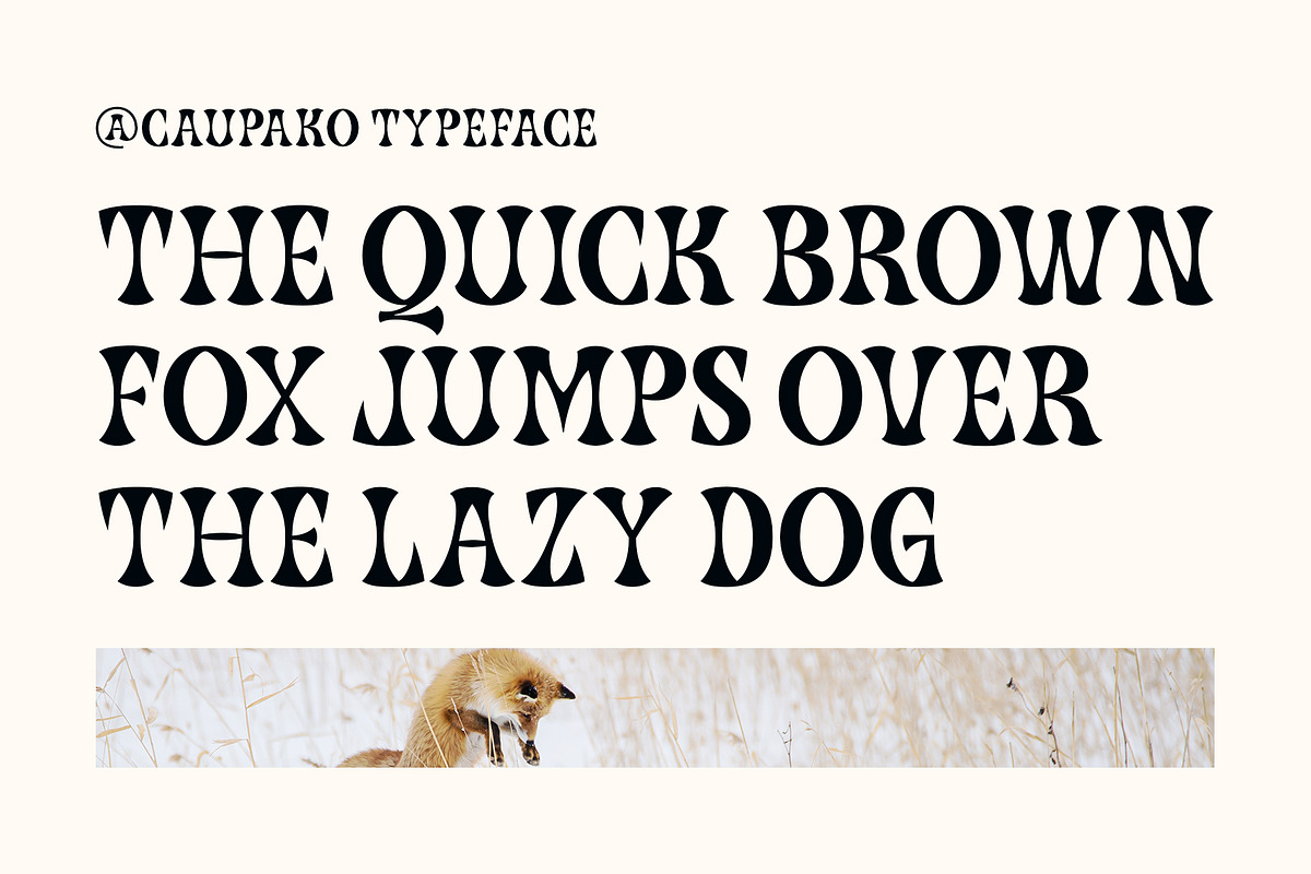 Caupako Font, a Serif Font by trustha (Photo 13 of 15)