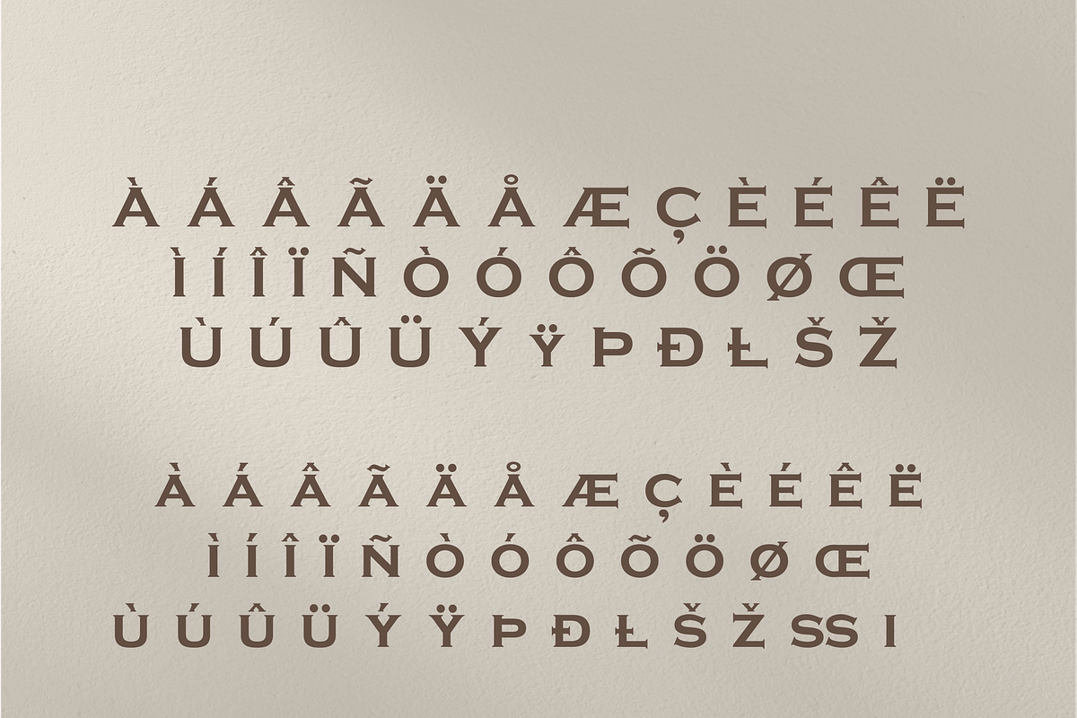 Sanir Retro Serif Font, a Serif Font by Creative Foundry (Photo 8 of 8)