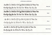 Manifest Font Serif, a Serif Font by AnayaStudio (Thumbnail 8 of 9)