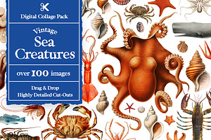 Vintage Sea Creatures Collage Pack