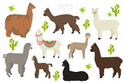 Alpaca clip art, an Animal Illustration by pet design shop (Thumbnail 1 of 5)
