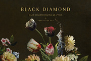 Black Diamond - Digital Graphics, an Illustration by Create The Cut (Thumbnail 14 of 14)