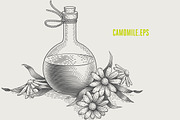 Herbs Bundle engravings, a Food Illustration by Irina Trusova (Thumbnail 3 of 9)
