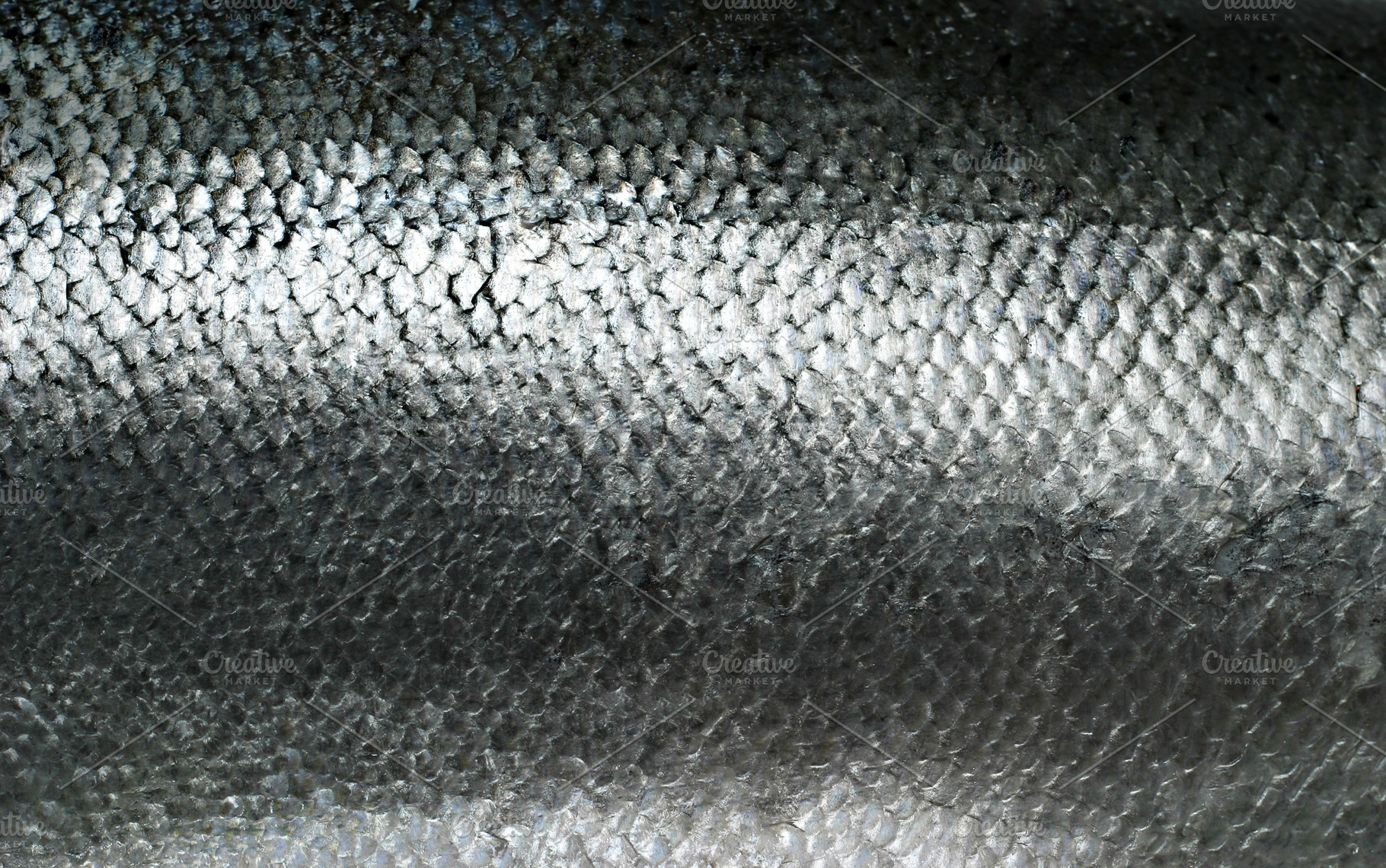 Salmon fish scales grunge texture, a Photo by saiko3p