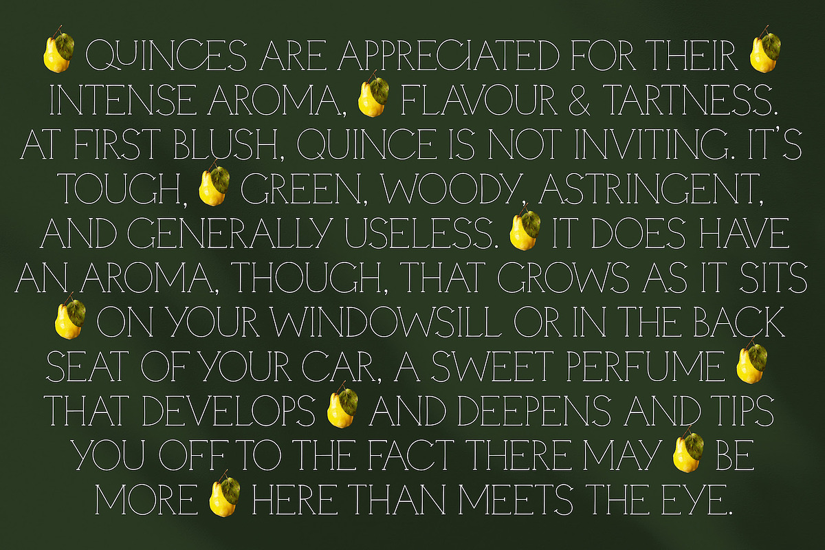 Quinces – A Delicate Display Serif, a Serif Font by Local Desk Designstudio (Photo 10 of 11)