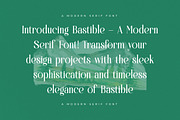 Bastible Modern Serif Font, a Serif Font by Letterena Studios (Thumbnail 9 of 15)