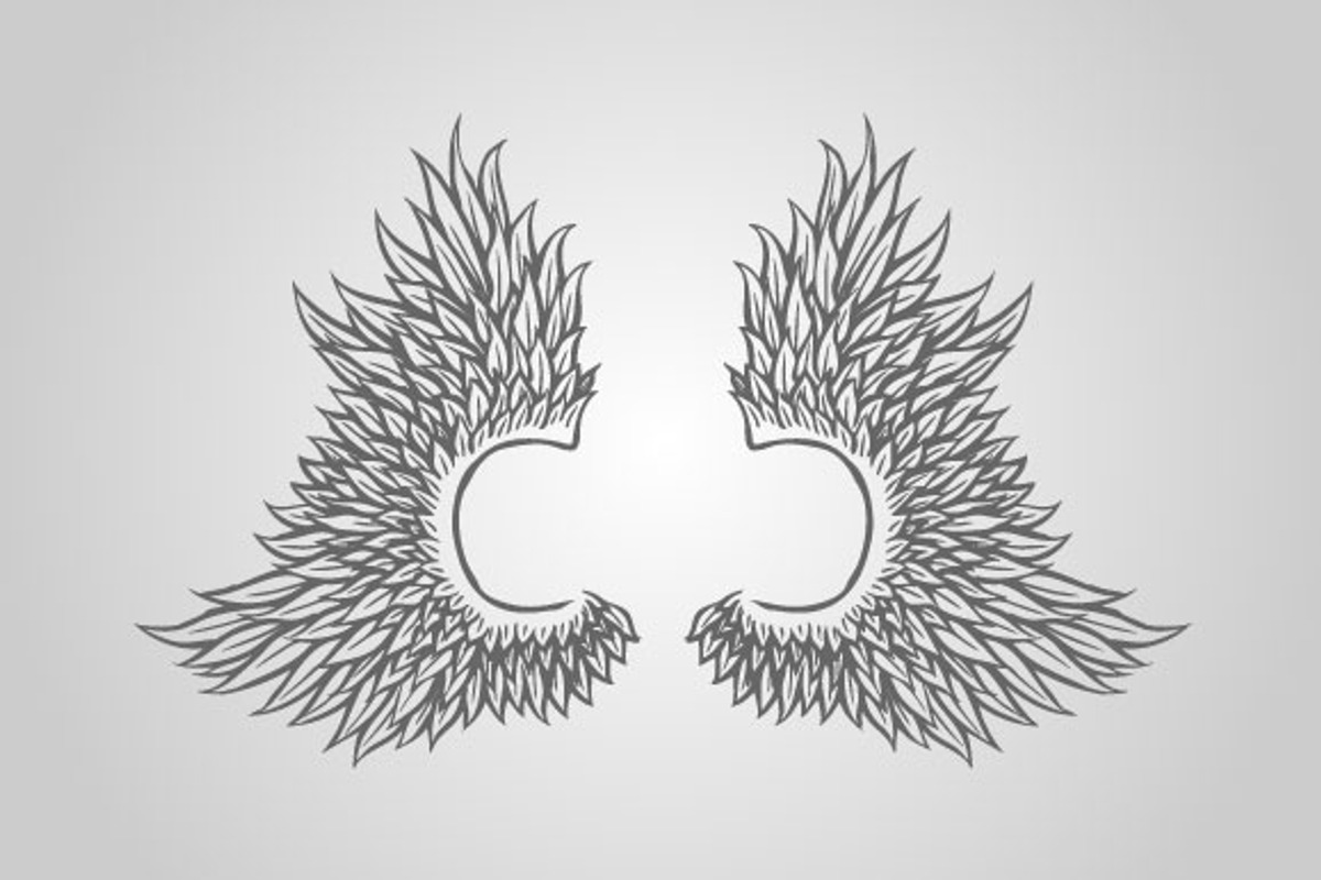 15 Wing Illustrations (Vector), an Animal Illustration by BIOWORKZ (Photo 4 of 5)