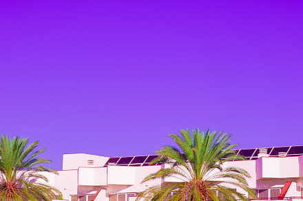 Fashion Canarian minimal tropical location. Hotel and palm tree., a Nature Photo by Jenya Porechenskaya