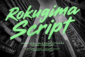 Rokugima Script Font Bold Brush