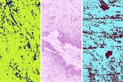 GSTC - Stone bench textures, a Texture Graphic by The Shop (Thumbnail 59 of 80)