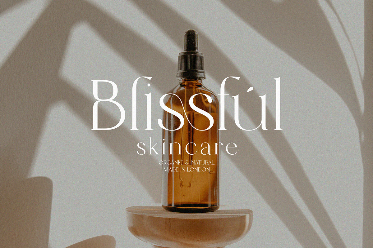 Catalina - Classy Ligature font, a Serif Font by dealitastudio (Photo 6 of 11)