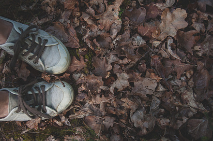 Autumn leaves stock photo containing autumn leaves and casual shoes