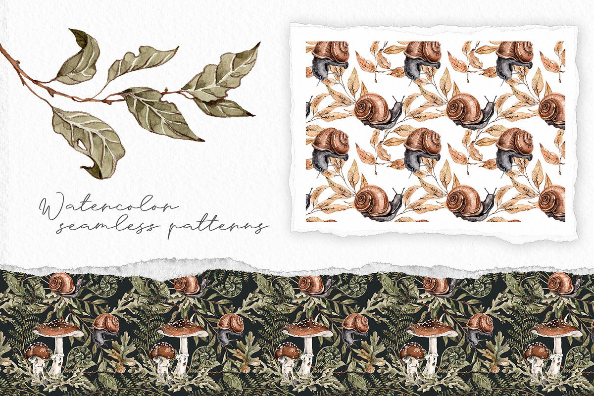 Forest plants and snails watercolor, an Illustration by Alamella (Photo 5 of 7)
