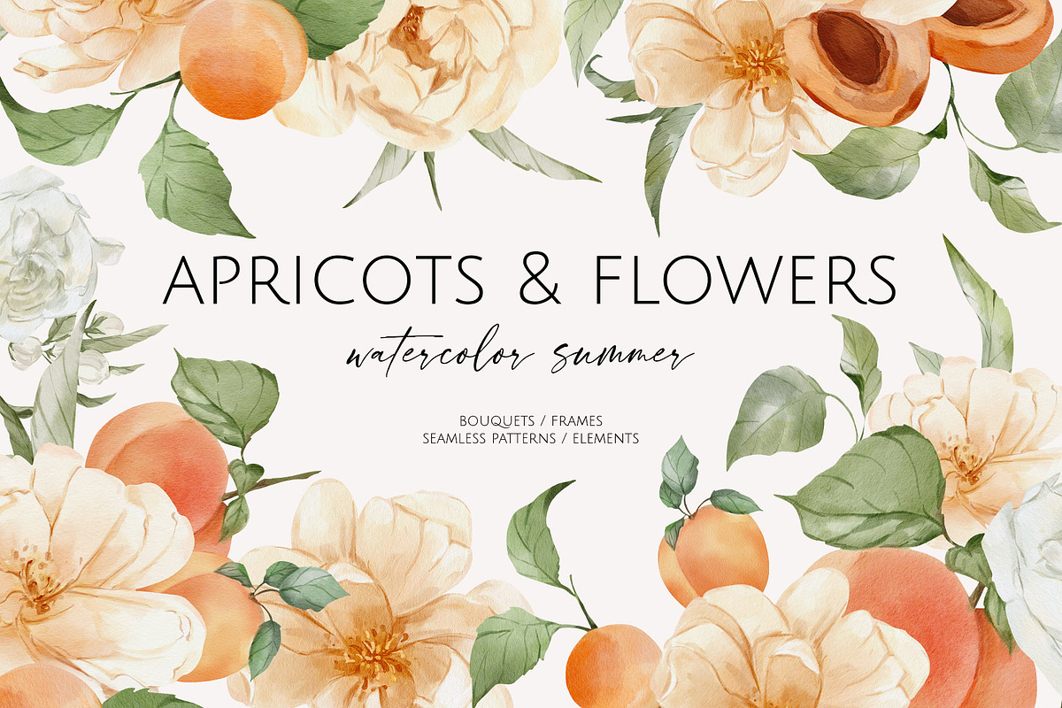 Apricots & Flowers watercolor summer, a Seasonal Illustration by Yuliia Lashevska (Photo 1 of 11)