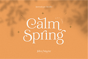 Catchy Mager - Fancy Ligature Font, a Serif Font by Sensatype (Thumbnail 4 of 25)