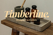 La Mystere - Editorial Serif Font, a Serif Font by SilverStag Type Foundry (Thumbnail 11 of 30)