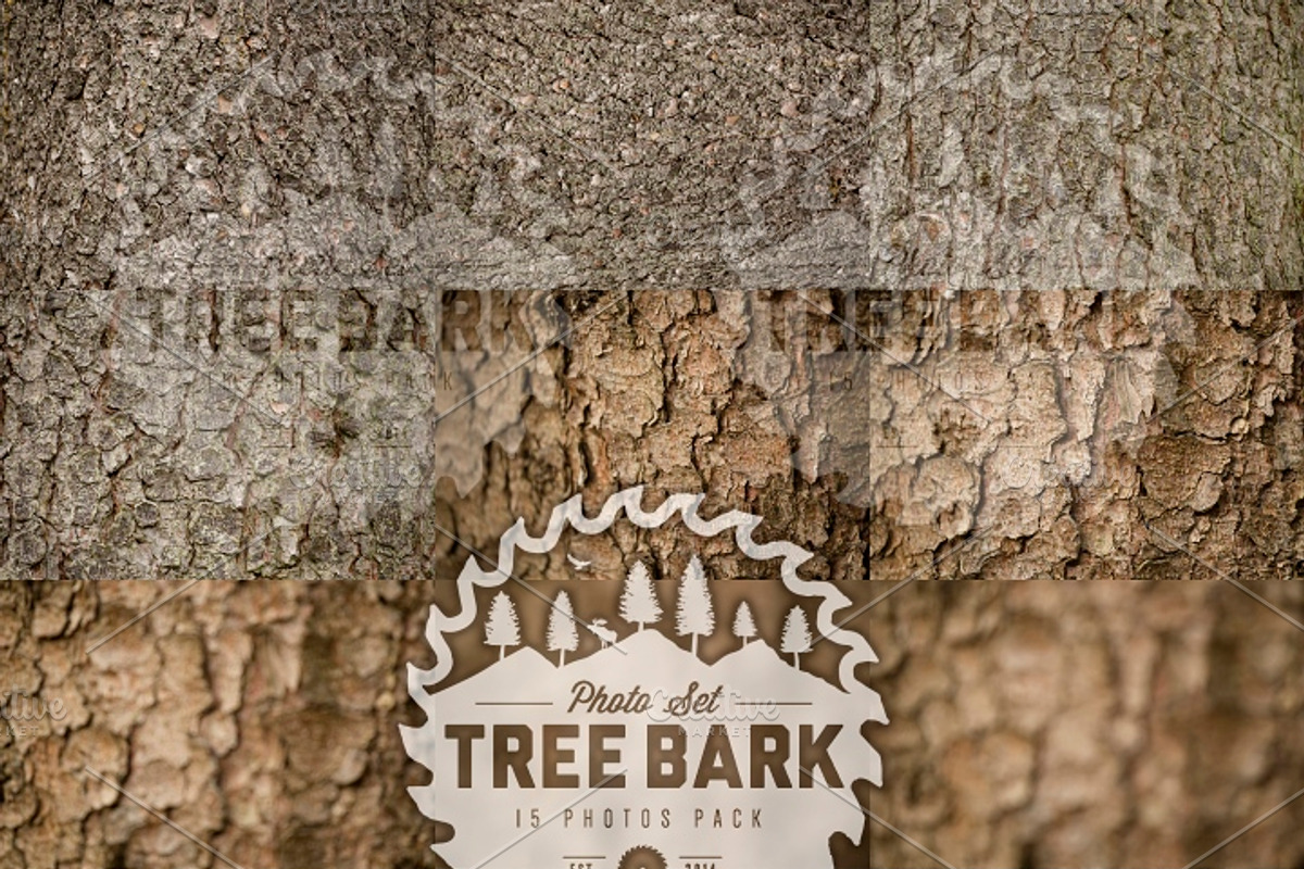 TreeBark - 15 photoset preview 5