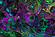 Acid psychedelic textures 50 Pack, a Texture Graphic by tkdesign (Thumbnail 47 of 50)