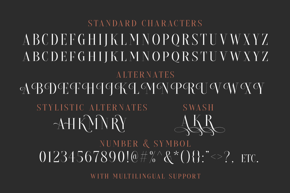 Brioche Family (70% OFF), a Serif Font by Sarid Ezra (Photo 9 of 10)