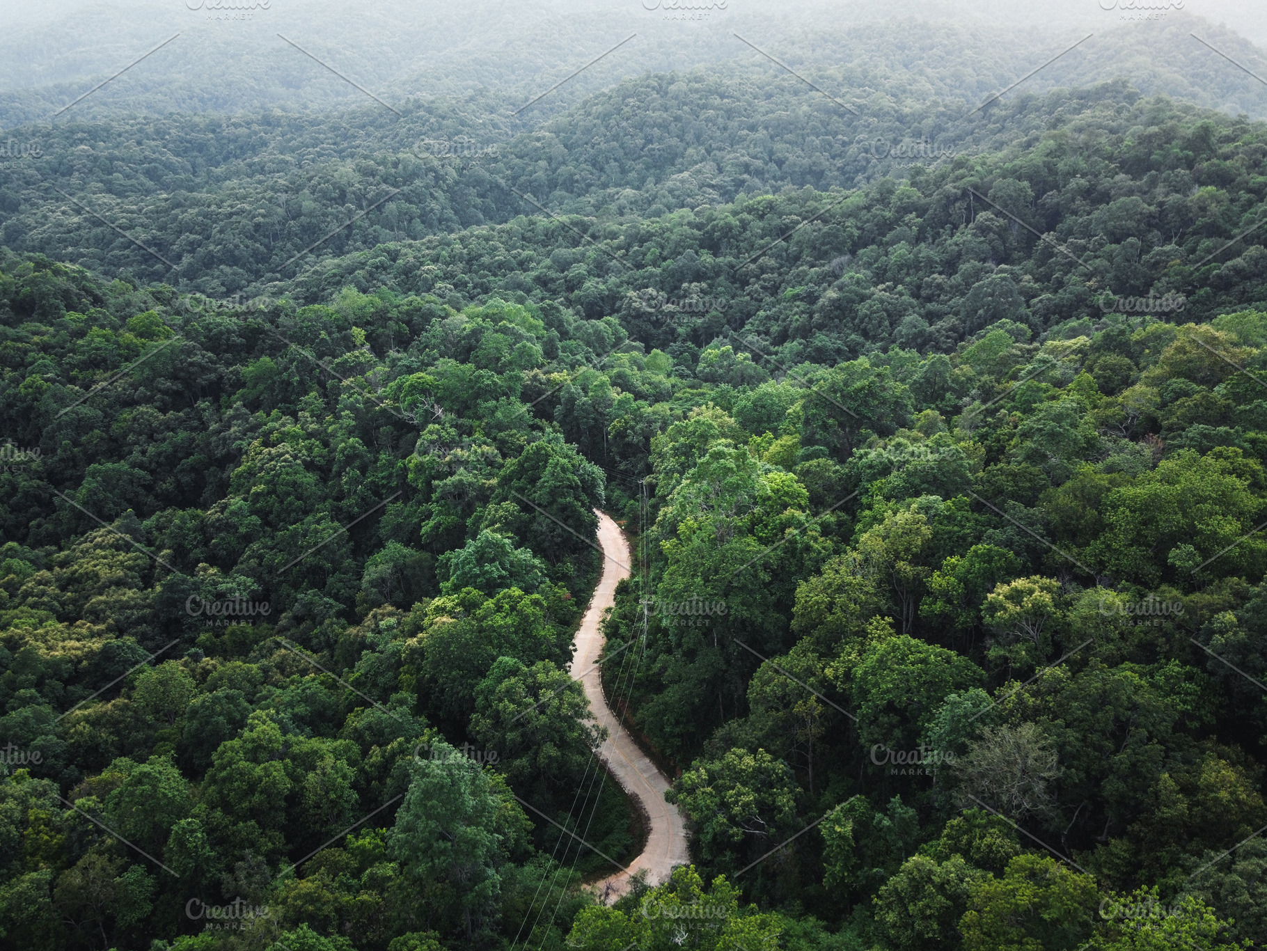 green forest in the tropics from above, a Nature Photo by Art Rachen