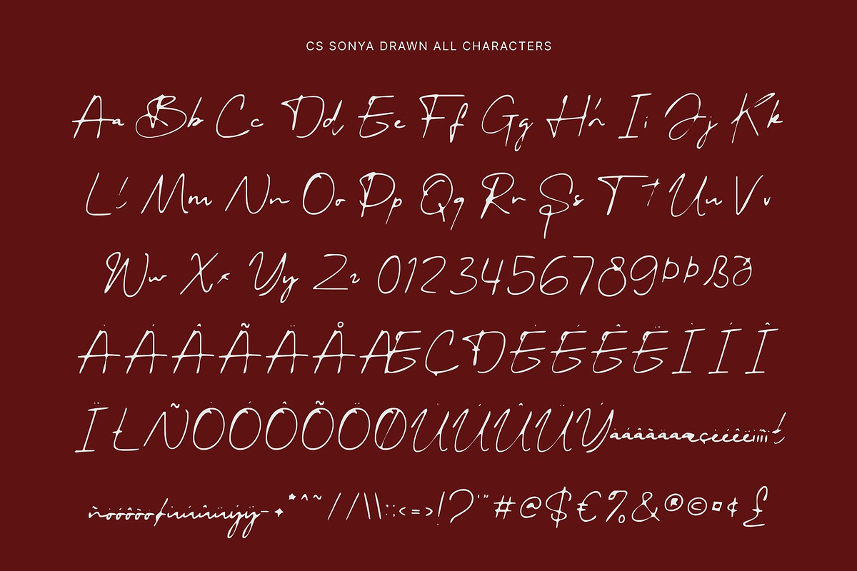 CS Sonya Drawn, a Script Font by Craft Supply Co. (Photo 8 of 8)