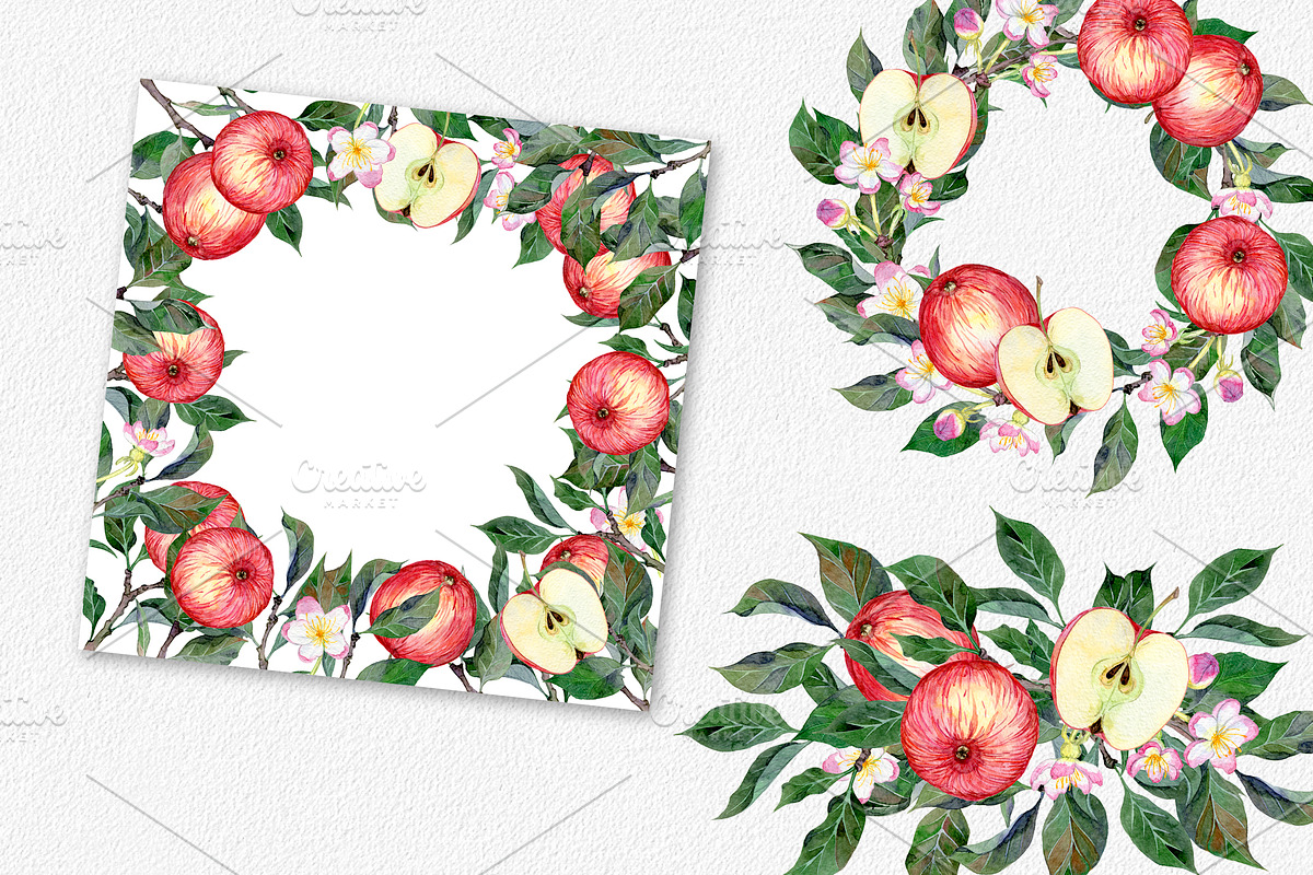 Hand drawn watercolor apple set, an Illustration by OlyaSenko (Photo 4 of 4)