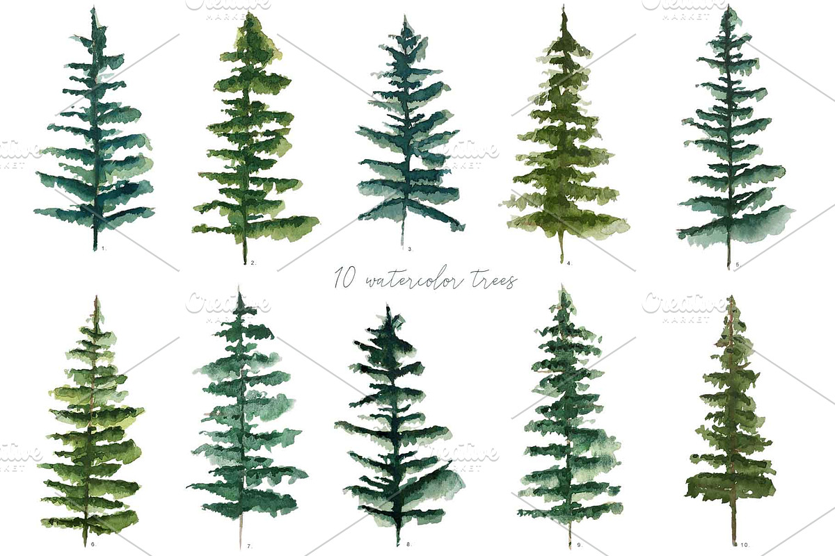 Watercolor fir trees and mountains, an Illustration by marie dricot (Photo 7 of 11)
