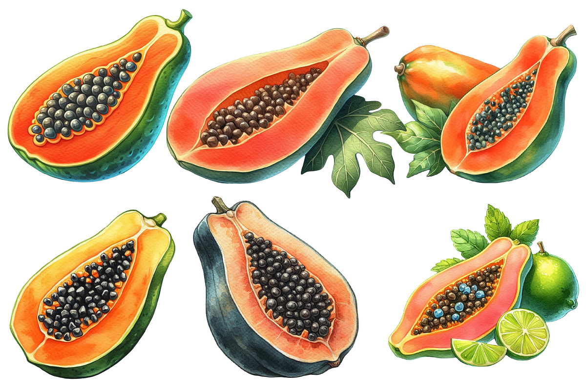 Watercolor Papaya Fruit Clipart, an Illustration by Designworld (Photo 2 of 6)