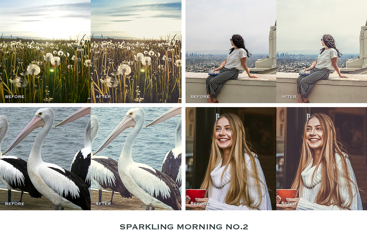 Sparkling Lightroom Presets Mobile, a Preset Add-On by VEER (Photo 7 of 18)