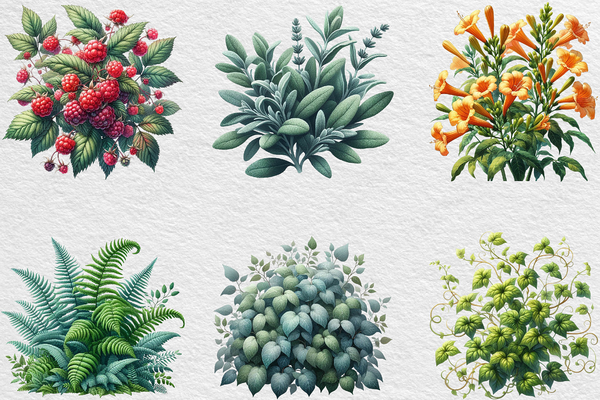 Watercolor Bushes Clipart Sublimatio, an Illustration by Black Bird Studio (Photo 6 of 6)