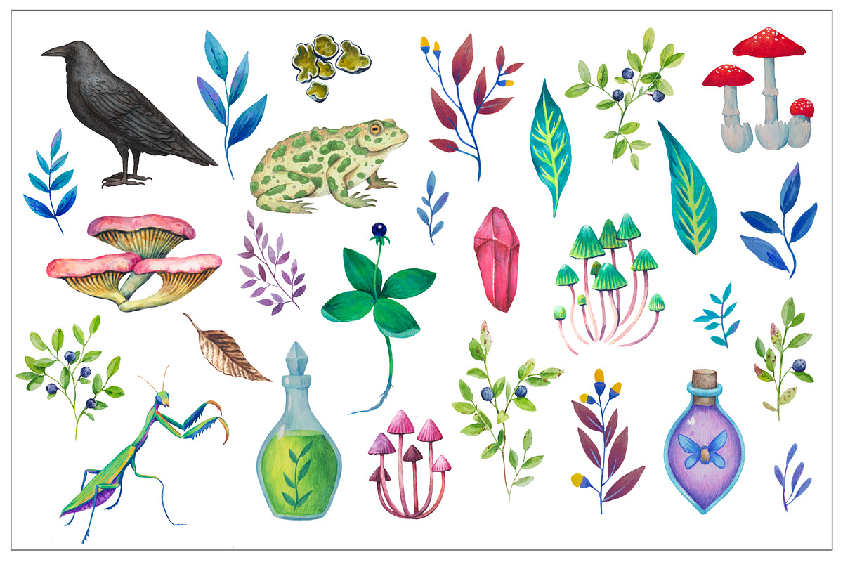 Fairy forest. Patterns and elements, a Decorative Illustration by Robusta (Photo 15 of 17)