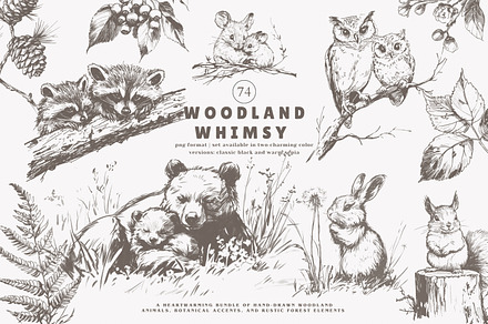 woodland clipart forest animals huge, a Decorative Illustration by Patishop Art