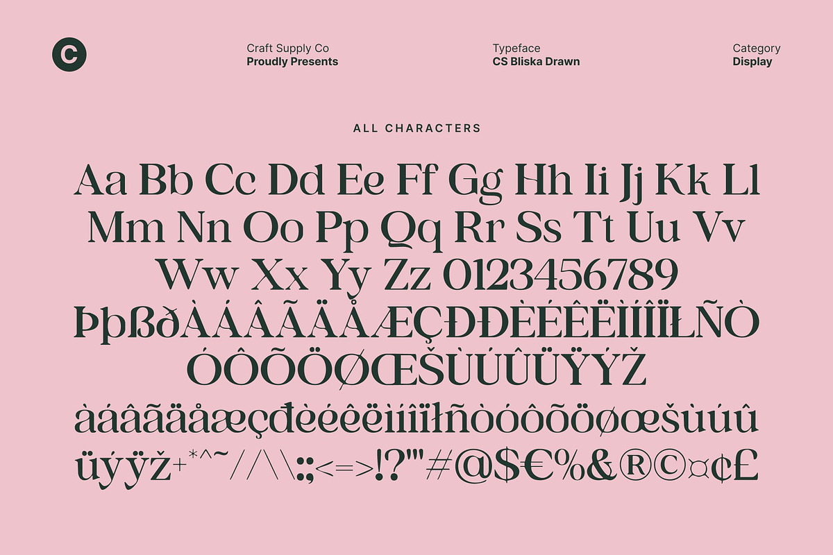 CS Bliska Drawn, a Serif Font by Craft Supply Co. (Photo 8 of 8)