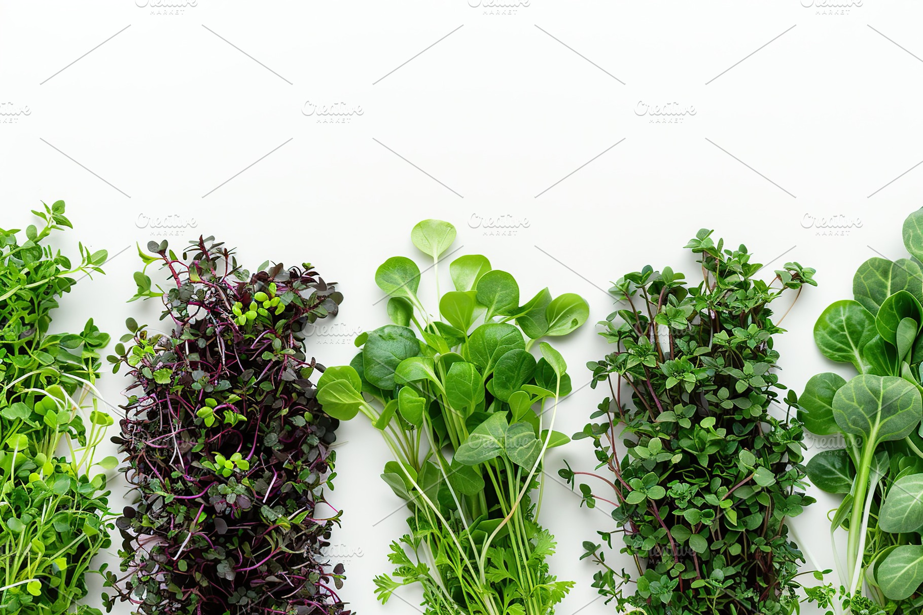 Different fresh microgreens on white background, a Food & Drink Photo by AlyaAnd