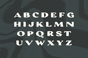 Oasis, a Slab Serif Font by Bruised Goods (Thumbnail 4 of 5)