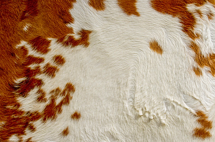 Sand patterns preview 6