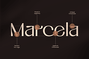 Fastue - Modern Luxury Logo Font, a Serif Font by Sensatype (Thumbnail 8 of 12)