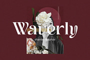 Meqanor - Unique Display Serif, a Serif Font by BrandSemut (Thumbnail 2 of 10)