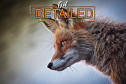 83%SALE! Mixed Oil Painting  Actions, an Action Add-On by Jacpot007 (Thumbnail 30 of 54)