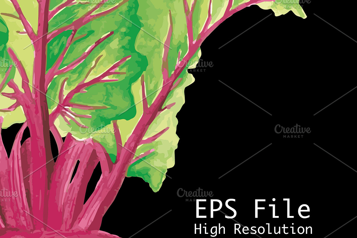 Vegetables Watercolor Illustration, a Food Illustration by andypray (Photo 6 of 8)