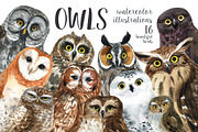 OWLS-watercolor illustrations, an Animal Illustration by KatBranchArt (Thumbnail 1 of 5)