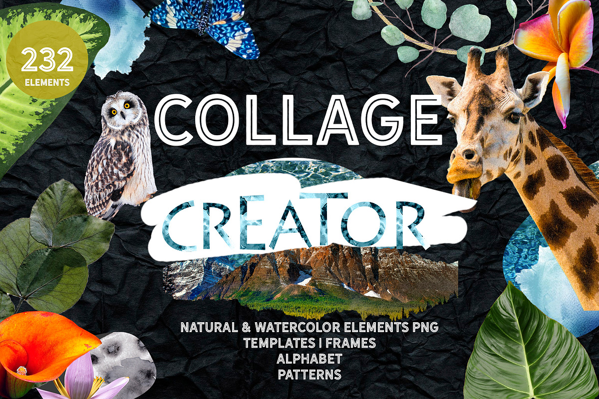 Collage creator SET & Alphabet, an Animal Illustration by Alexiva (Photo 1 of 9)