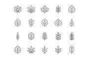 Leaves Line Icons, an Outline Icon by Nadiinko (Thumbnail 2 of 2)