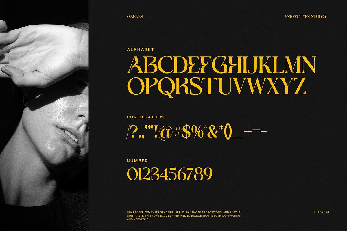 Axiron - Classy Serif Font, a Serif Font by Luna Shop (Photo 7 of 8)
