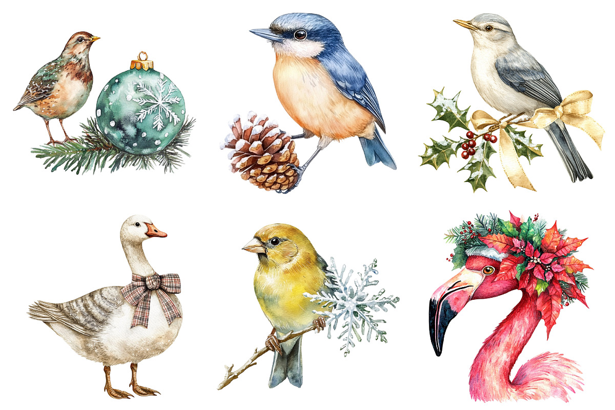 Christmas Birds Sublimation Clipart, an Illustration by Daily.Designs (Photo 3 of 5)