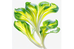 The microgreen super food known as, a Food & Drink Photo by ZinetroN